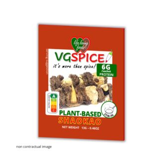 VGSPICE SHAOKAO