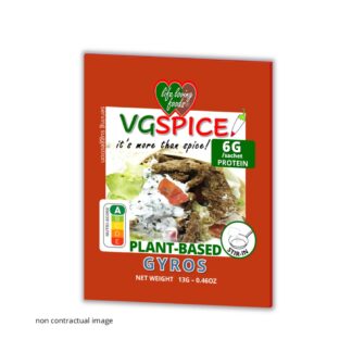 VGSPICE GYROS